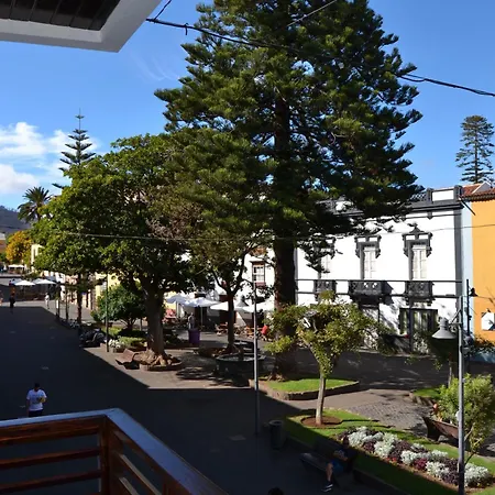 Araucaria3 La Laguna (Tenerife)