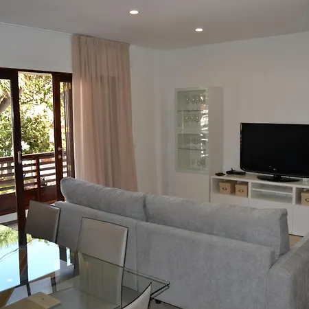 Araucaria3 * La Laguna (Tenerife)